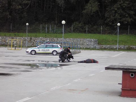 Žilina2 014.jpg
